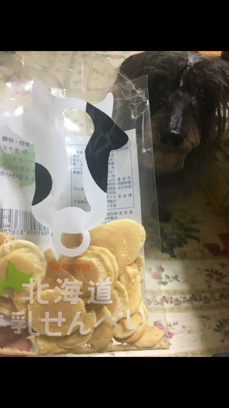 今食べたものの写真をひたすら貼るトピ