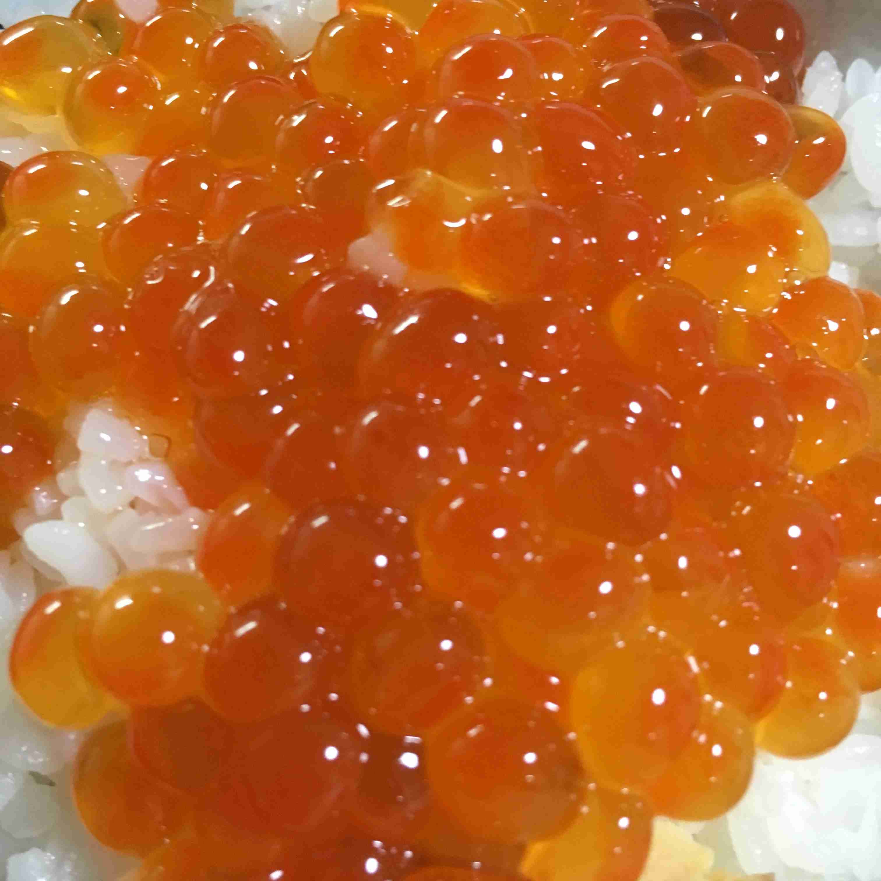 今食べたものの写真をひたすら貼るトピ