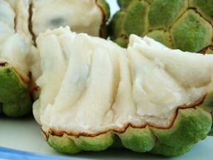 海外で食べて感動した食べ物