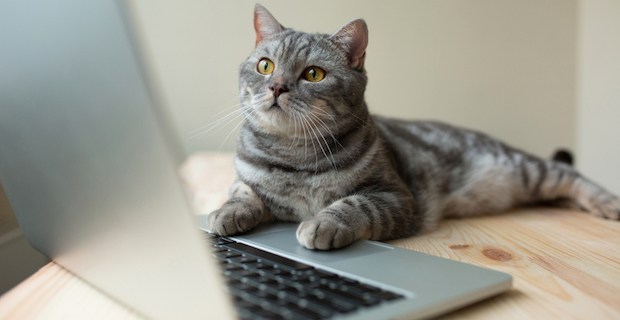 皆さん、仕事は何されてますか？