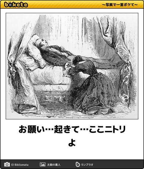 最近のニトリのオススメ!