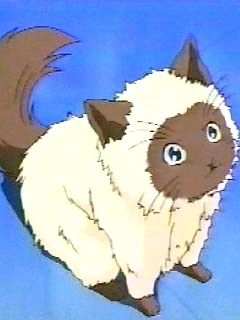 このキャラクターの名前を知っていたらプラス