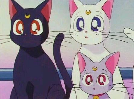 このキャラクターの名前を知っていたらプラス