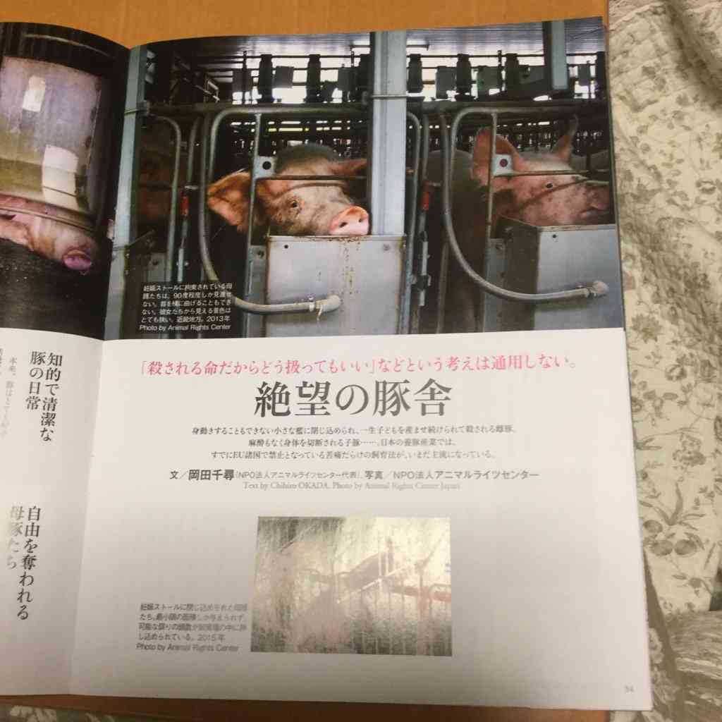 現代の食肉産業について語ろう！【肉食者非肉食者互い尊重の上】