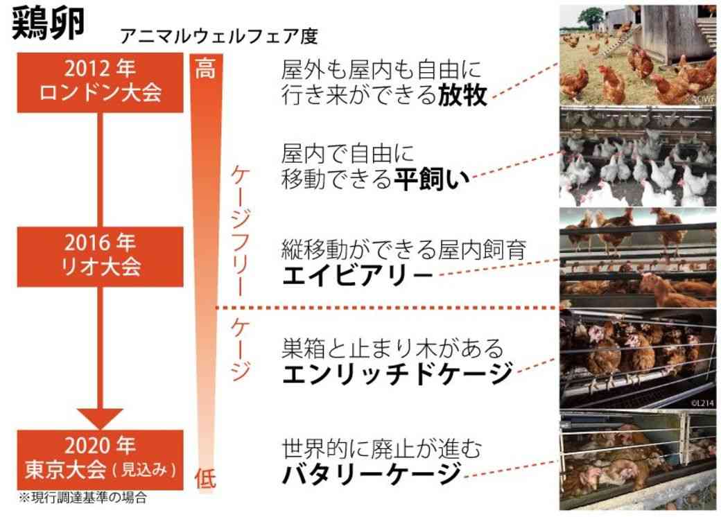現代の食肉産業について語ろう！【肉食者非肉食者互い尊重の上】