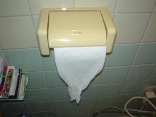 潔癖症ではないけど気になること