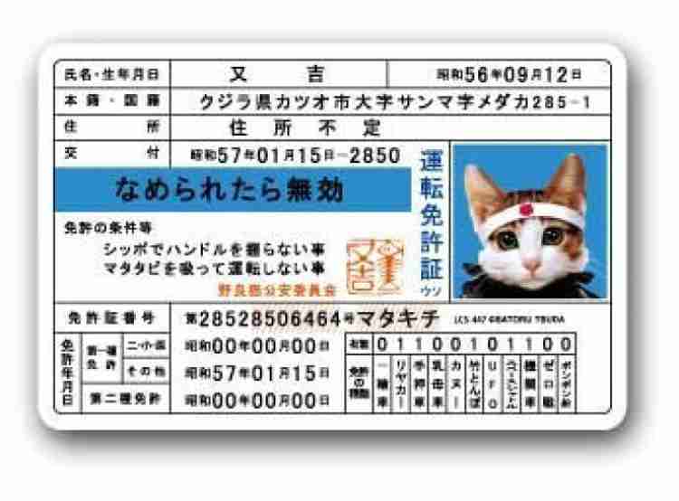 運転免許証の必要性