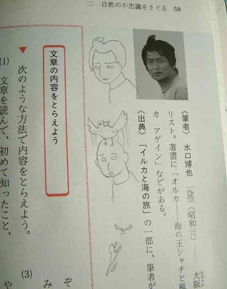独特だと思う画像を貼ってみるトピ
