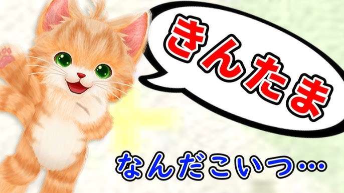 共通の趣味の人のみ面白さが分かる画像を貼るトピ