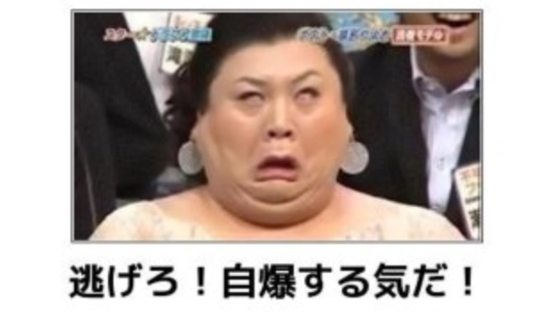 共通の趣味の人のみ面白さが分かる画像を貼るトピ