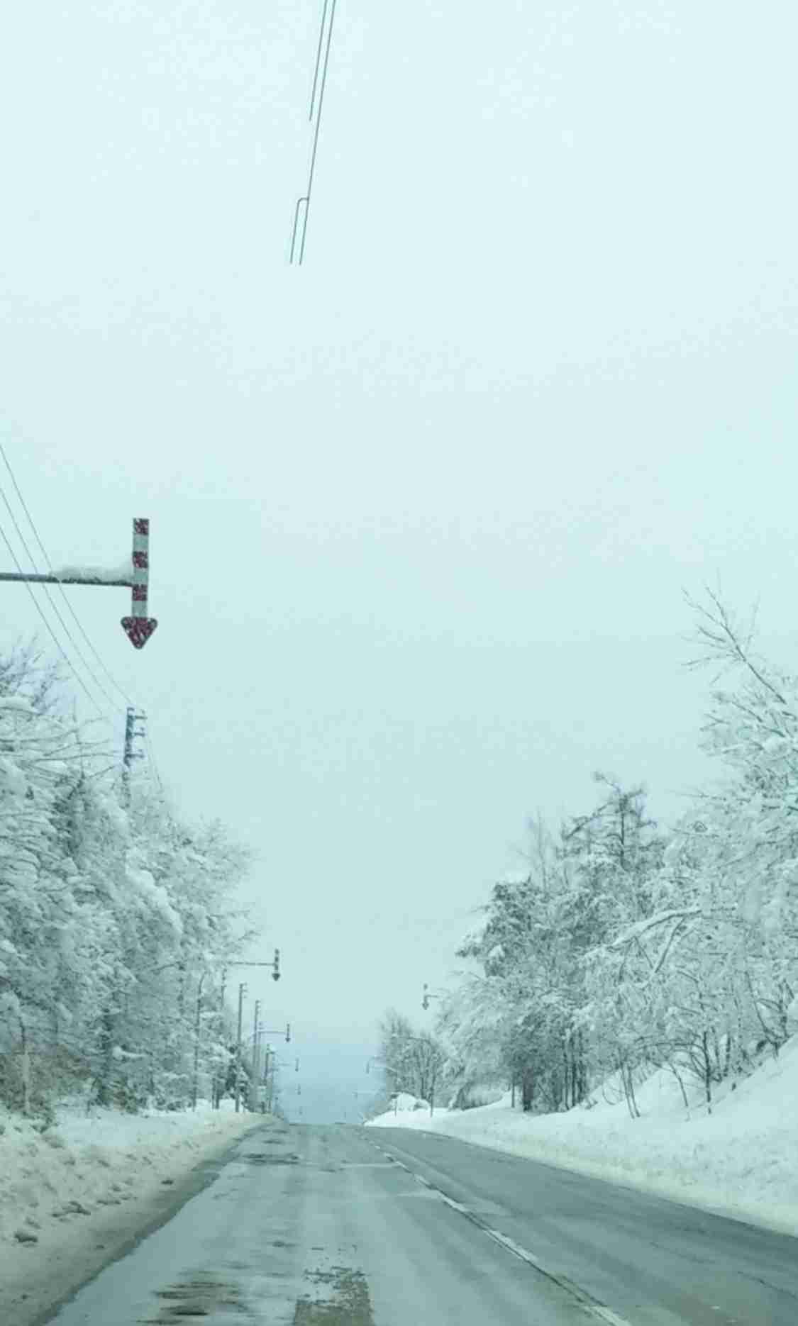 雪景色の画像が見たい