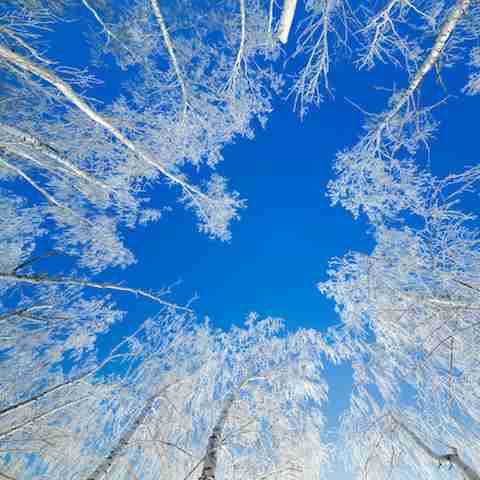 雪景色の画像が見たい