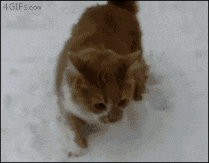 雪景色の画像が見たい