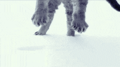 雪景色の画像が見たい