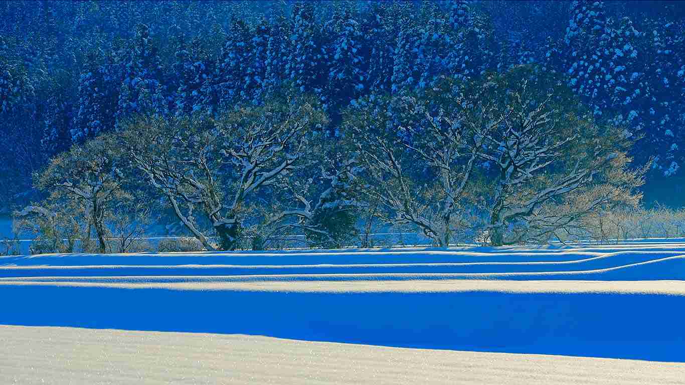 雪景色の画像が見たい