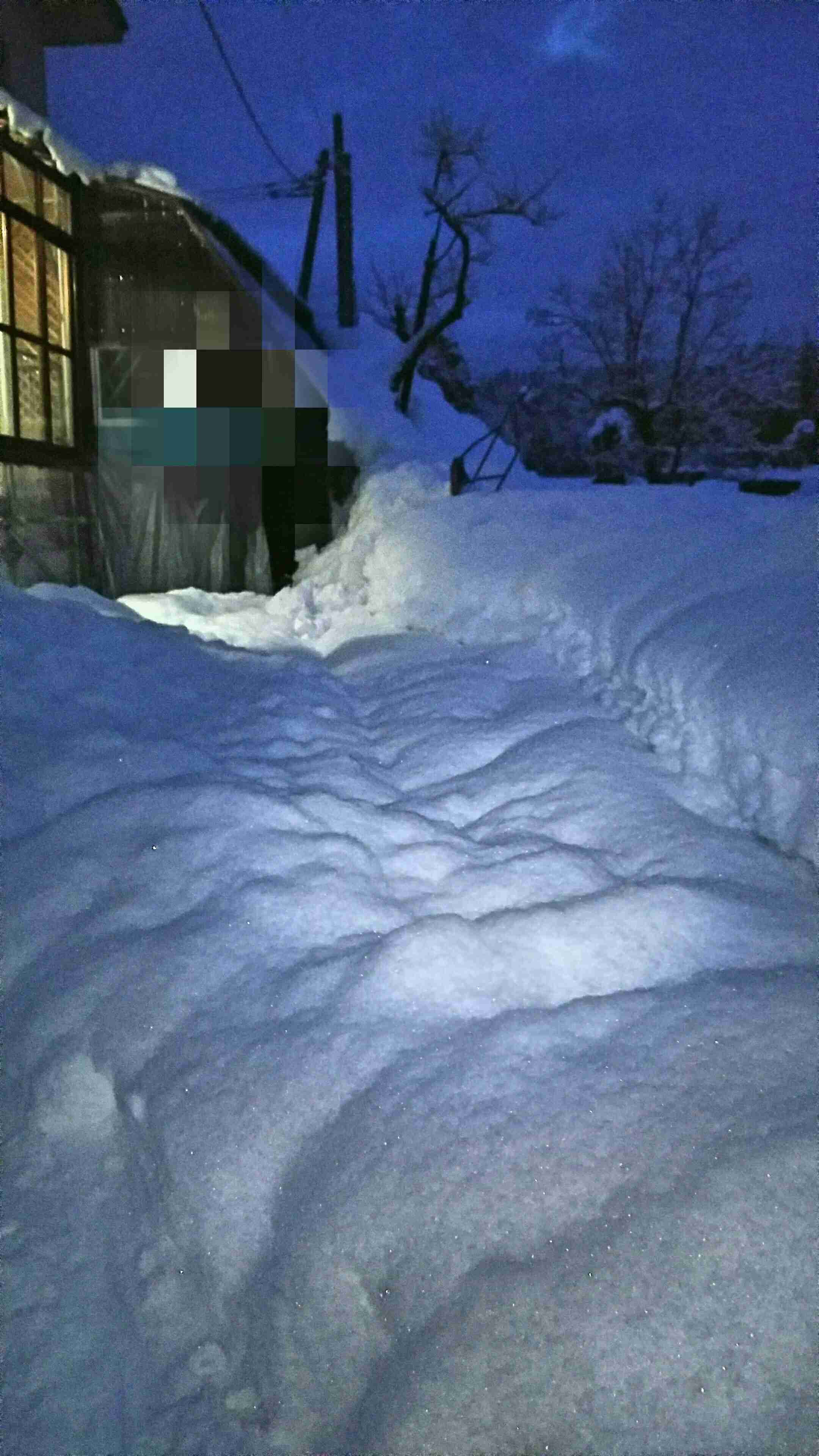 雪景色の画像が見たい