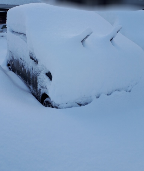 雪景色の画像が見たい