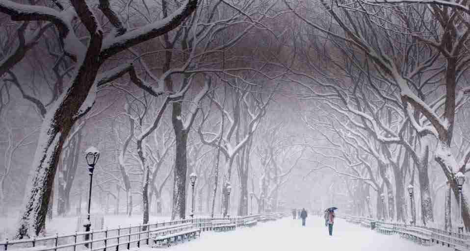 雪景色の画像が見たい