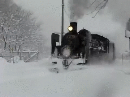 雪景色の画像が見たい