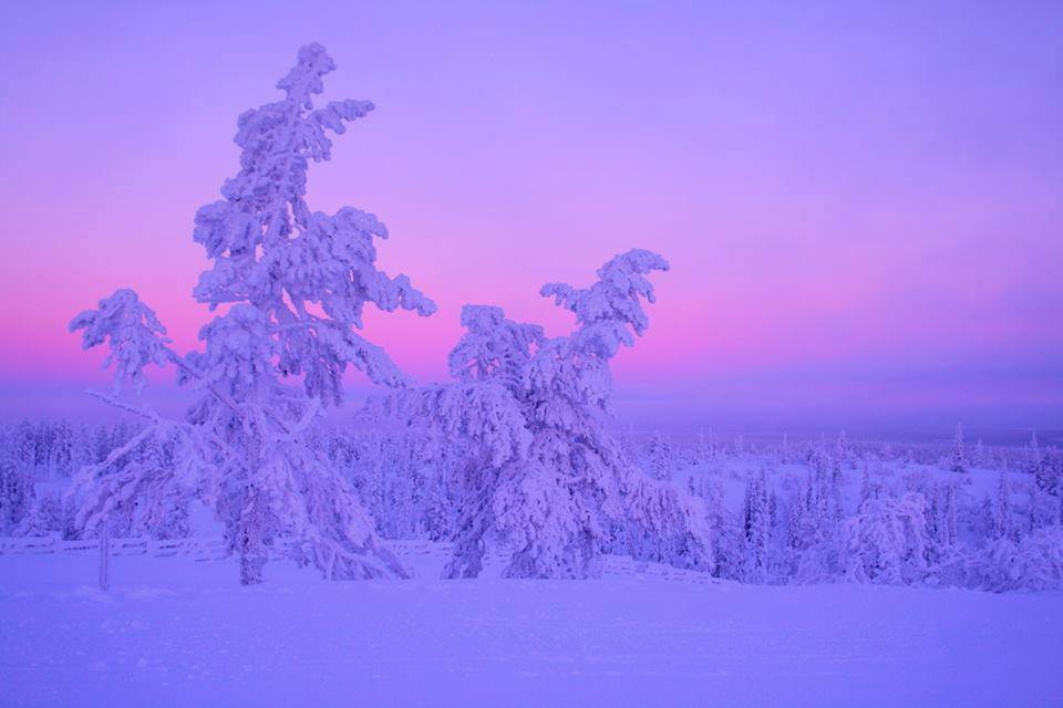 雪景色の画像が見たい