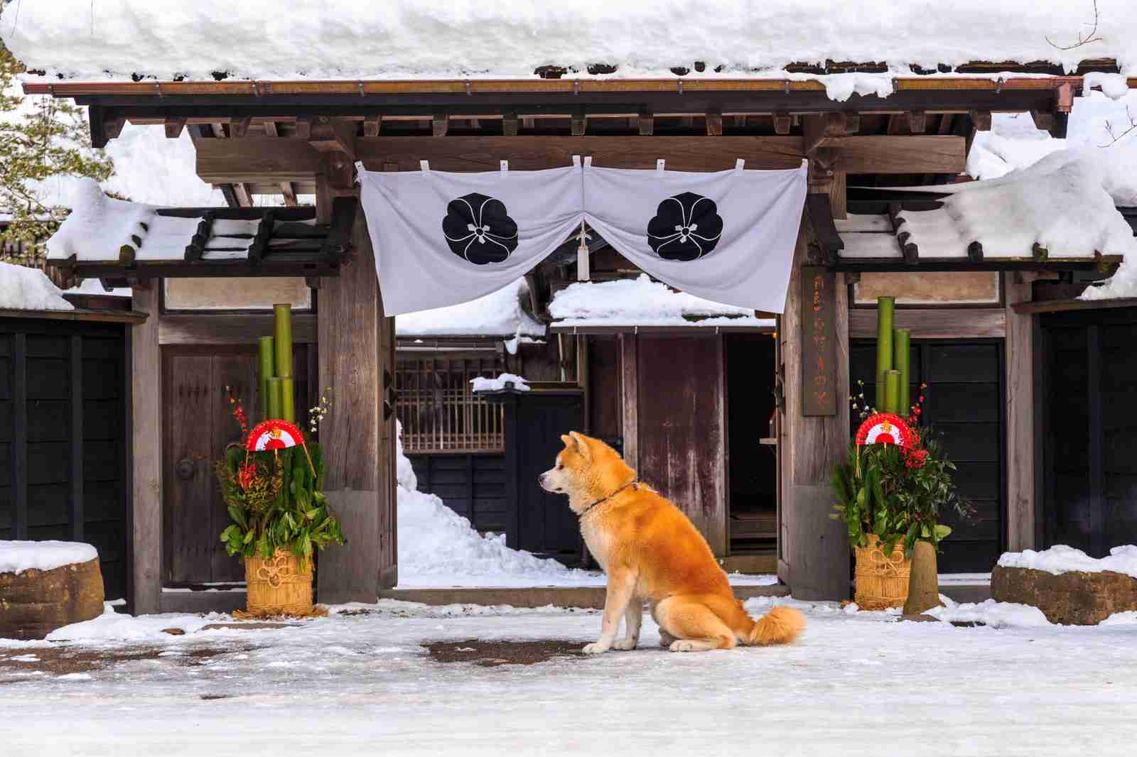 雪景色の画像が見たい