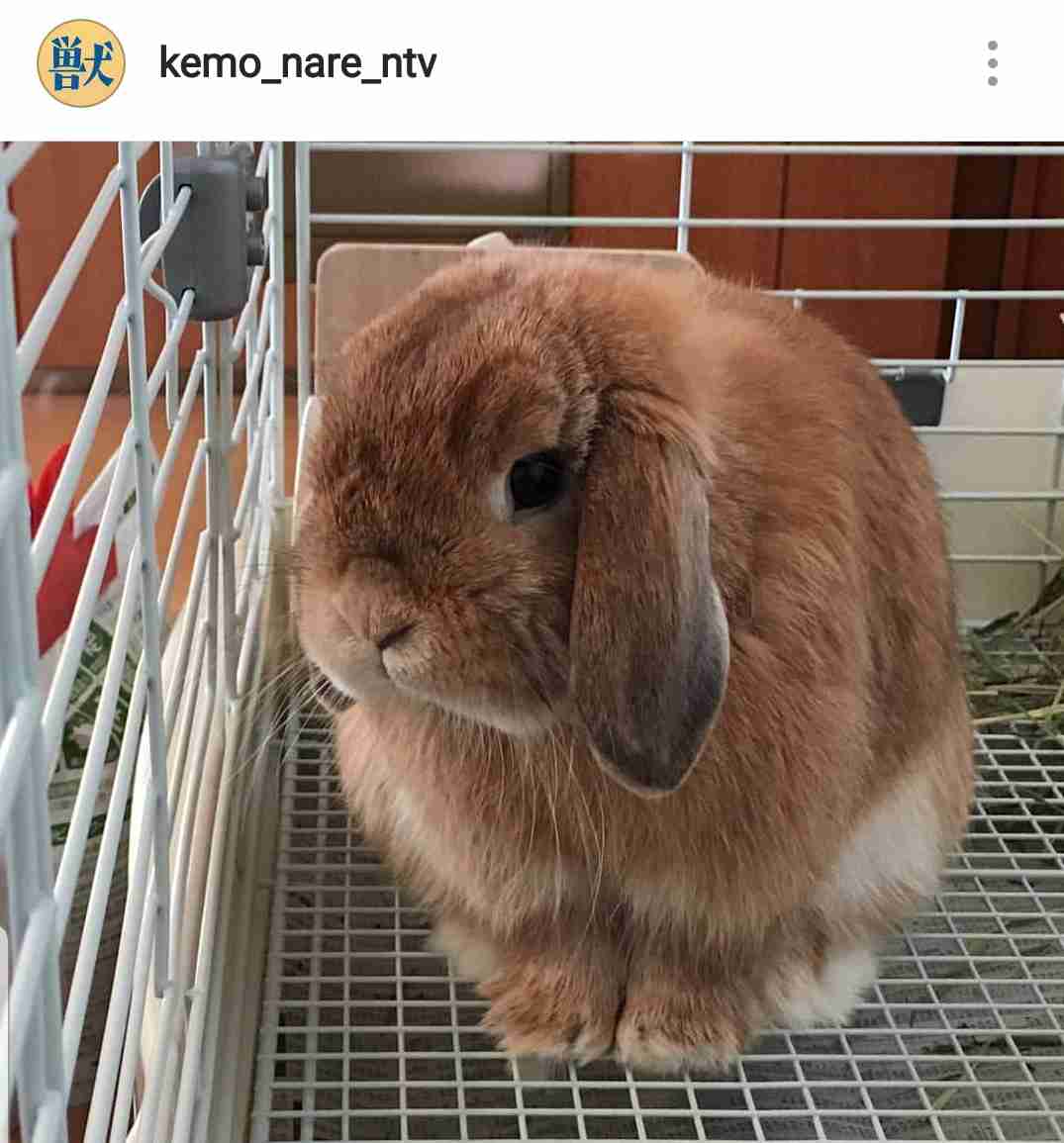 【実況・感想】獣になれない私たち#09