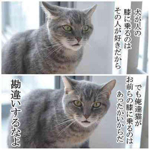 ずーっと勘違いしてたこと