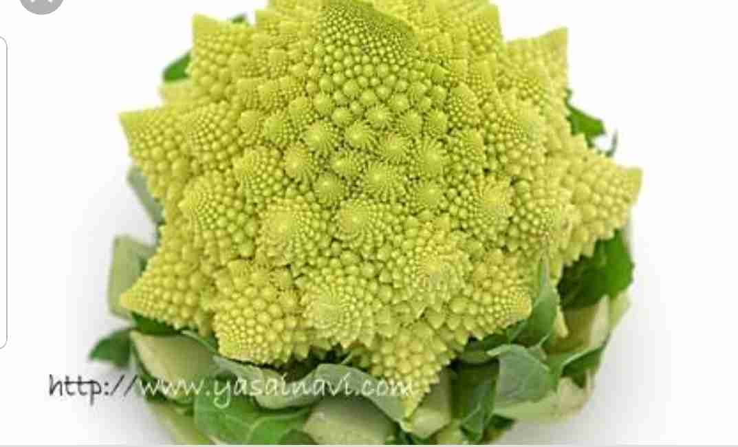 定番野菜じゃないけどオススメなもの