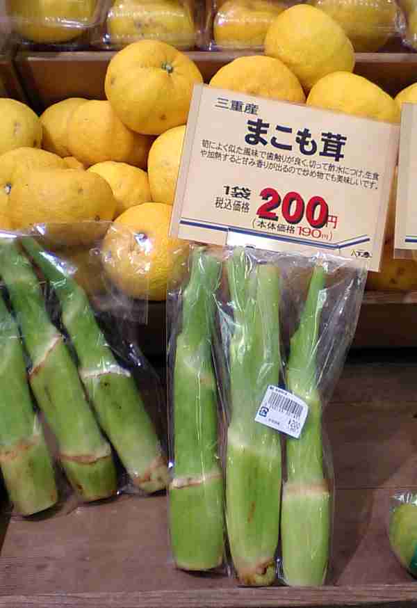 定番野菜じゃないけどオススメなもの