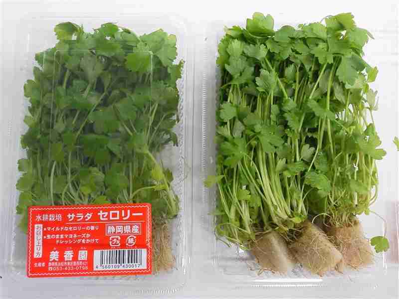 定番野菜じゃないけどオススメなもの