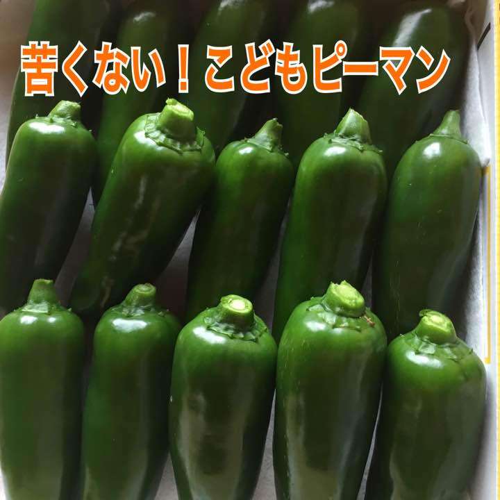 定番野菜じゃないけどオススメなもの