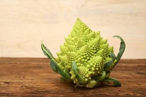 定番野菜じゃないけどオススメなもの
