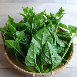 定番野菜じゃないけどオススメなもの