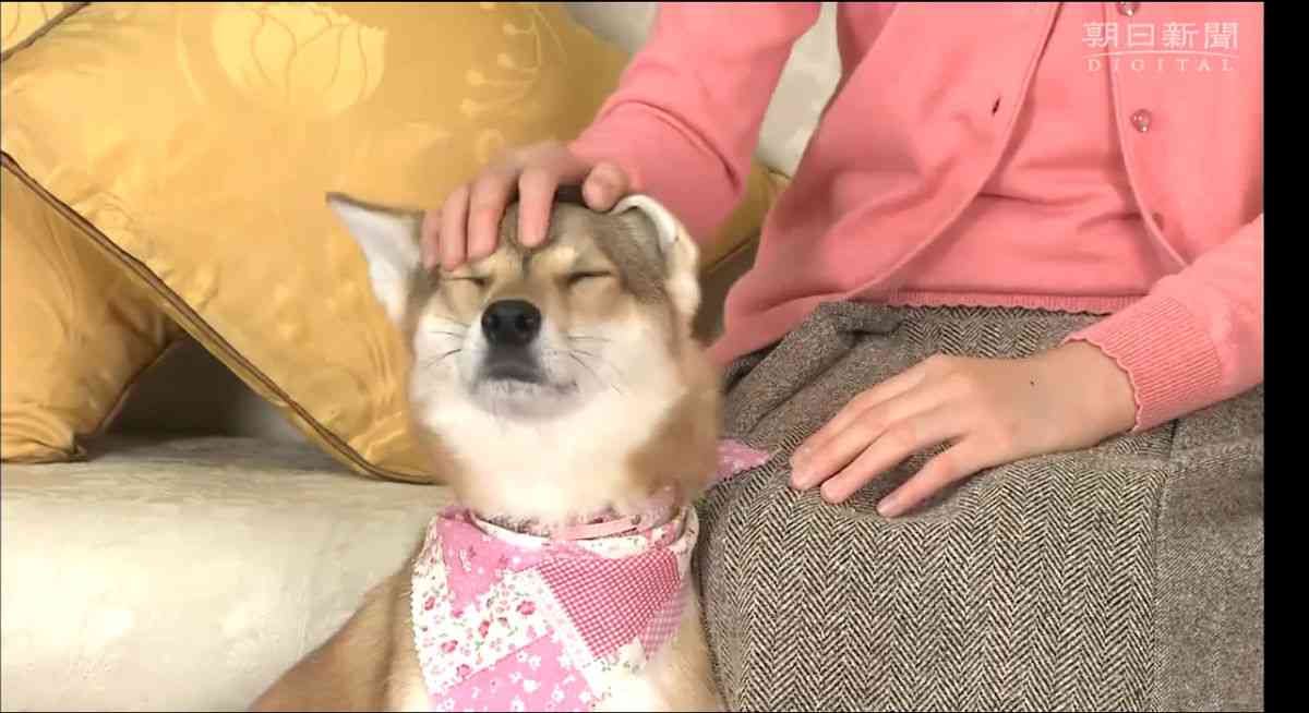 愛子さま17歳の誕生日　宮内庁が映像公開