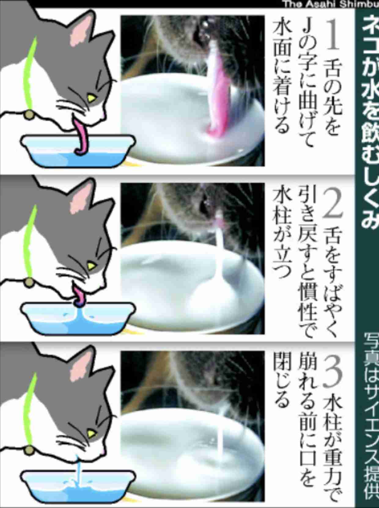 ガルちゃん用にストックしている画像を見せ合うトピ
