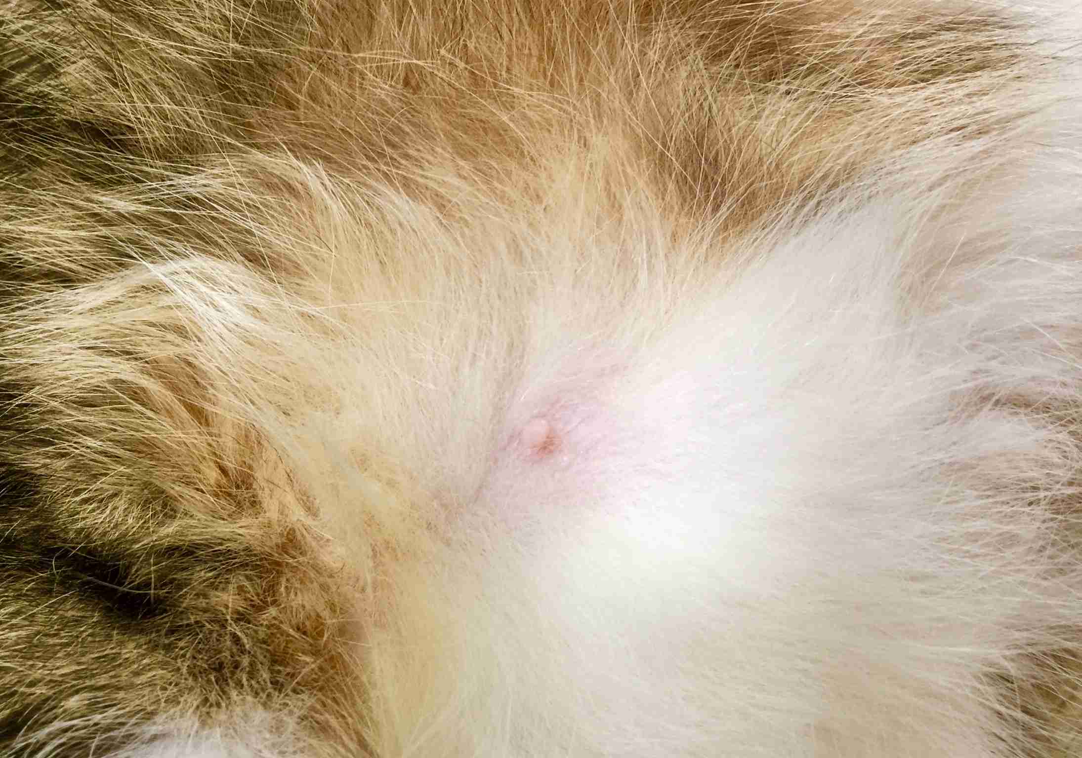 ガルちゃん用にストックしている画像を見せ合うトピ