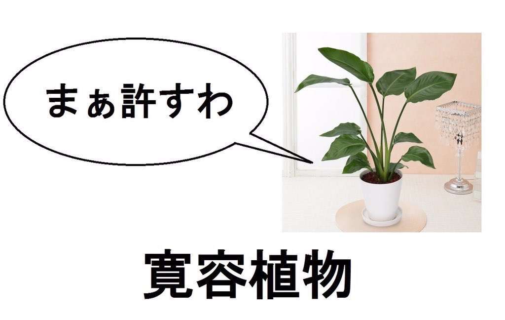 ガルちゃん用にストックしている画像を見せ合うトピ