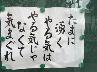 ガルちゃん用にストックしている画像を見せ合うトピ