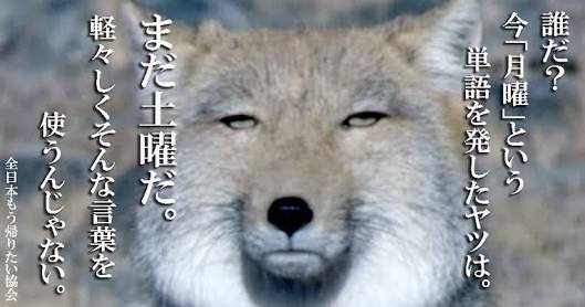 ガルちゃん用にストックしている画像を見せ合うトピ