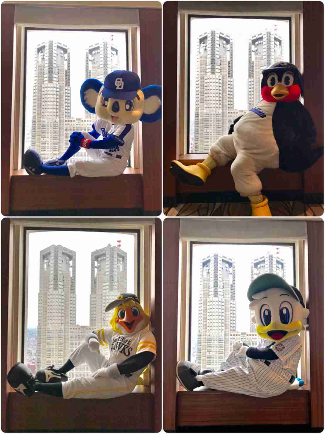 プロ野球選手、球団マスコットの画像を貼りましょう