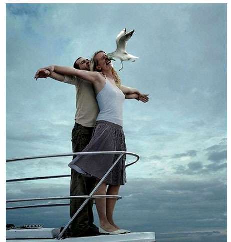 奇跡の一枚が見たい