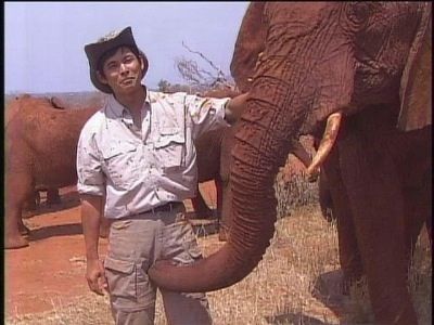 奇跡の一枚が見たい