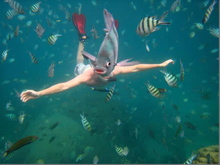 奇跡の一枚が見たい