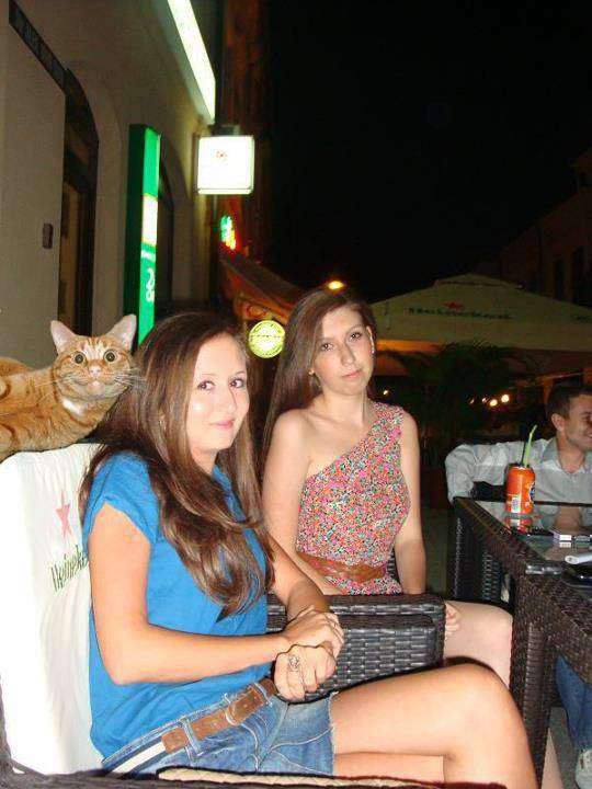 奇跡の一枚が見たい