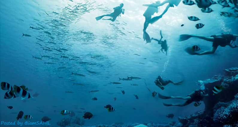 奇跡の一枚が見たい