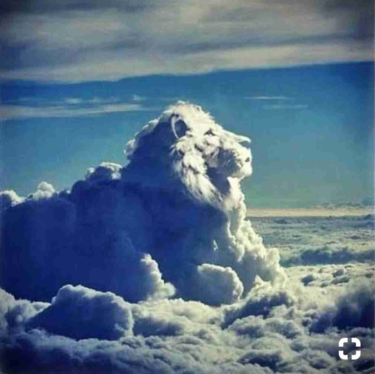 奇跡の一枚が見たい