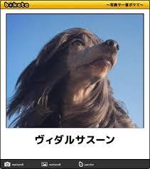 意味は置いといて、響きが好きな言葉