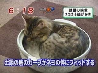 ガルちゃん民で闇鍋しようよ