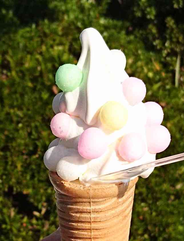 最近食べたプチ贅沢品