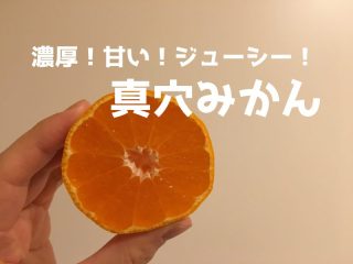 最近食べたプチ贅沢品